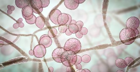 candida and headaches – i feel absolutely amazing